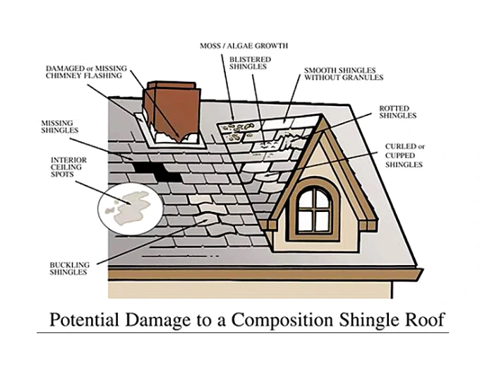 shingles damage 